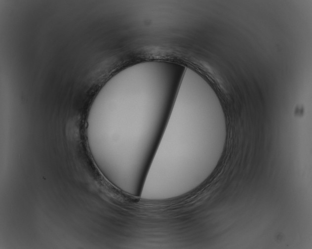 X0000089960217200707131544