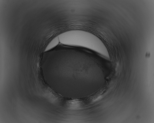 X0000089960219200707131544