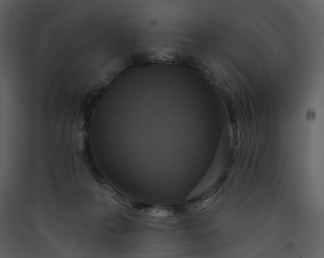 X0000089960223200707131544