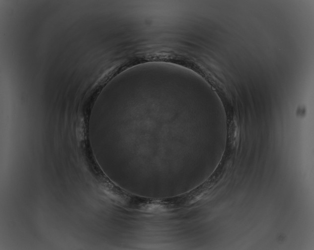 X0000089960224200707131544