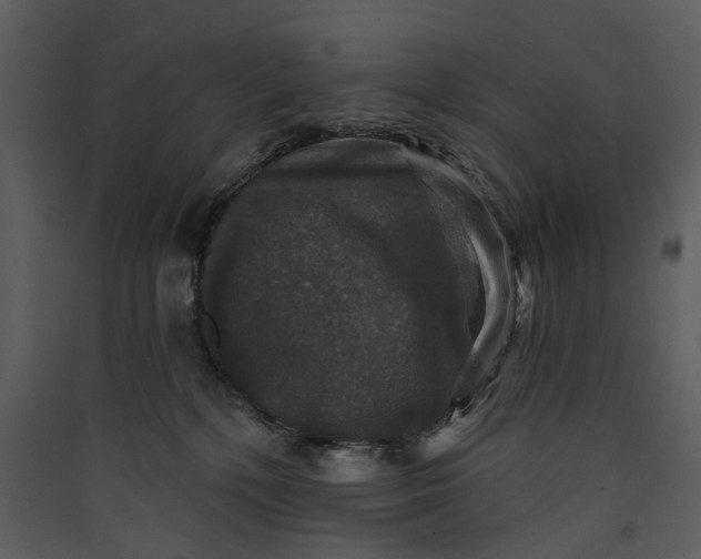 X0000089960232200707131544