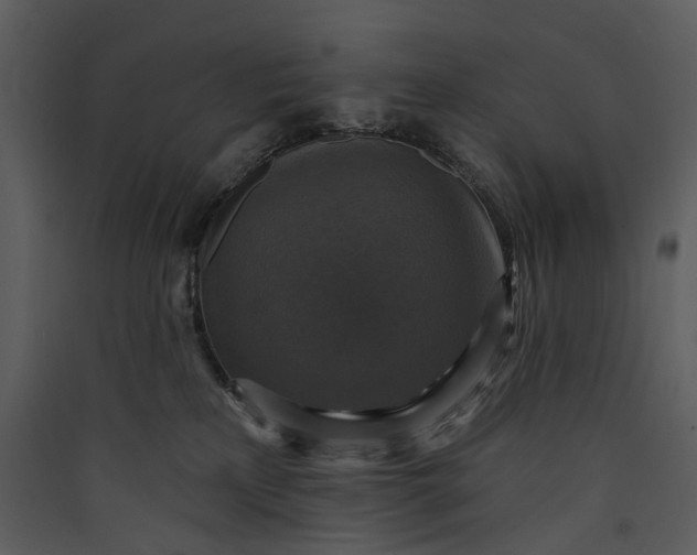 X0000089960233200707131544