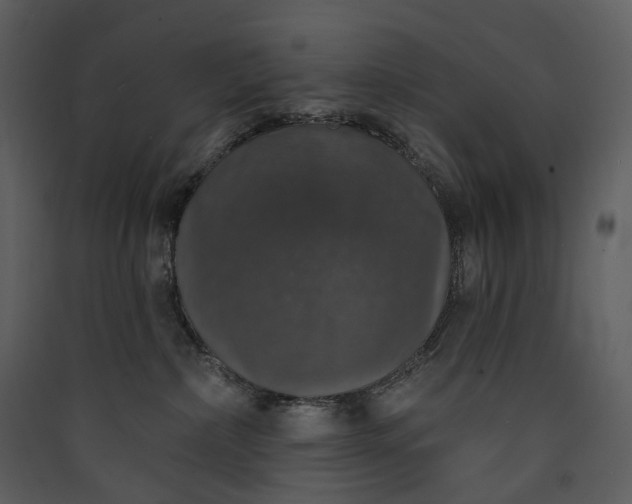 X0000089960236200707131544