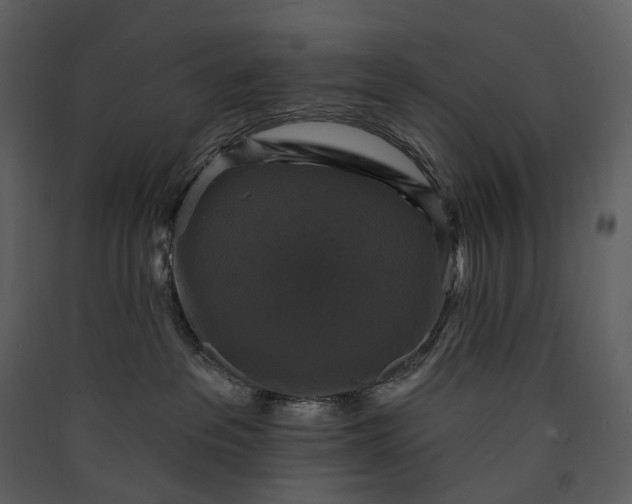 X0000089960237200707131544