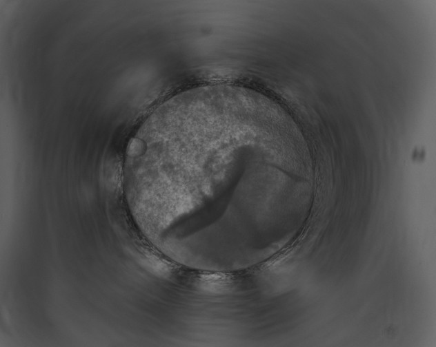 X0000089960240200707131544