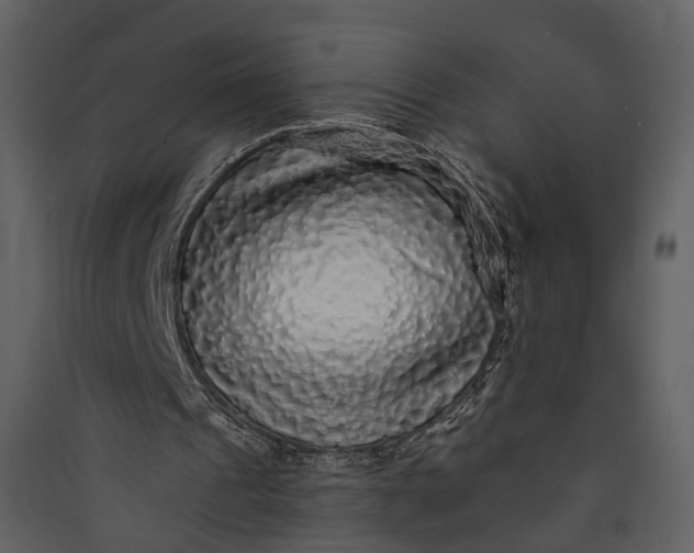 X0000089960241200707131543