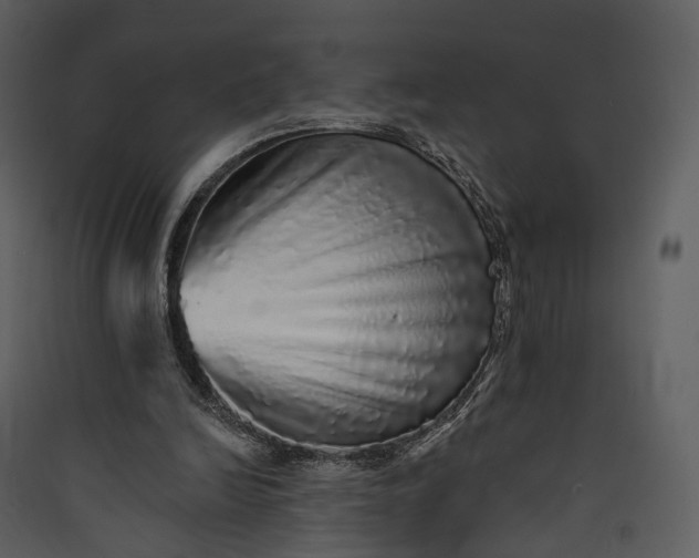 X0000089960246200707131543