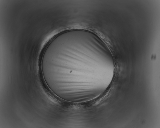 X0000089960248200707131543