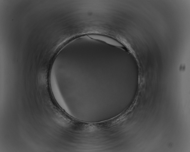 X0000089960249200707131543