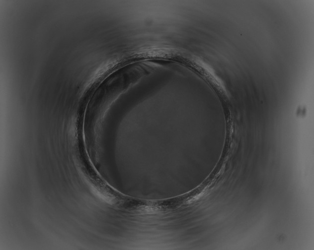 X0000089960250200707131543