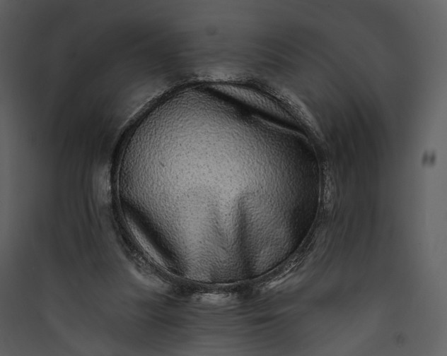 X0000089960251200707131543