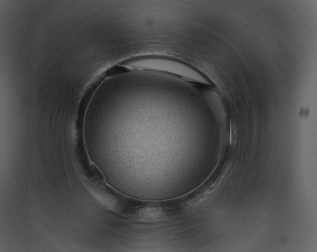 X0000089960252200707131543