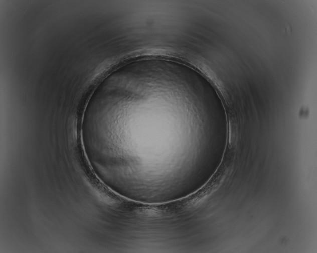 X0000089960253200707131543