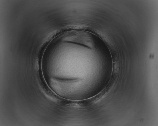 X0000089960254200707131543