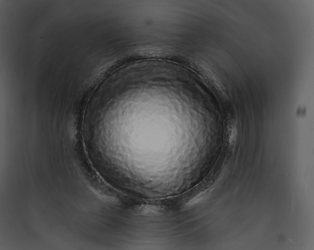 X0000089960255200707131543
