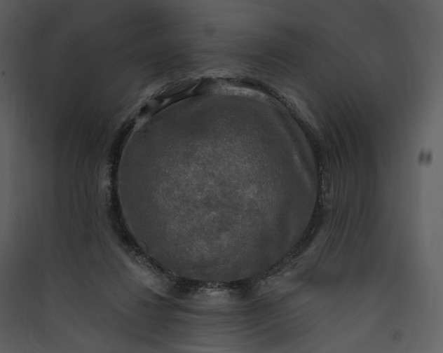 X0000089960260200707131543