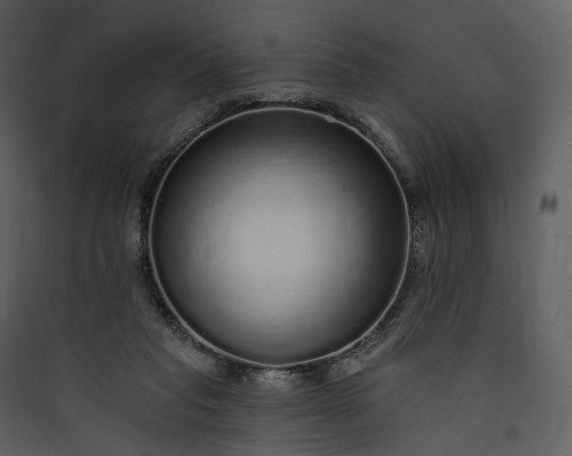 X0000089960261200707131543