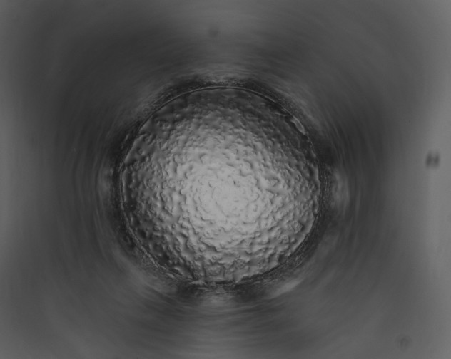 X0000089960263200707131543