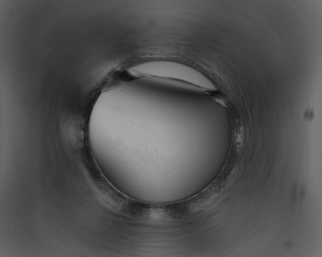 X0000089960264200707131543