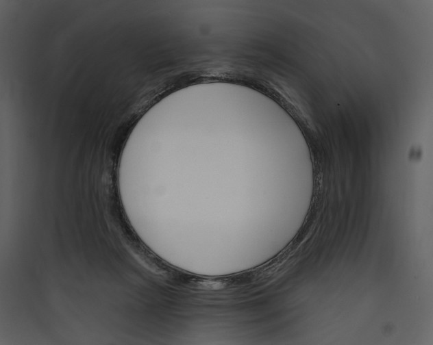 X0000089960265200707131543