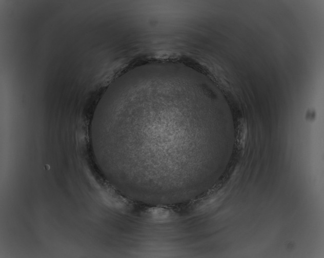 X0000089960272200707131544