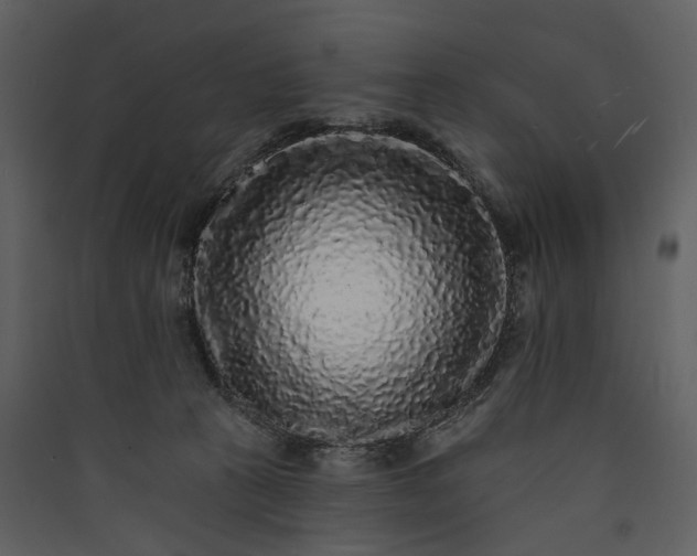 X0000089960273200707131544