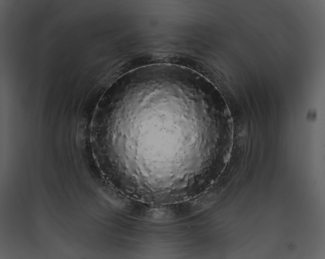 X0000089960275200707131544