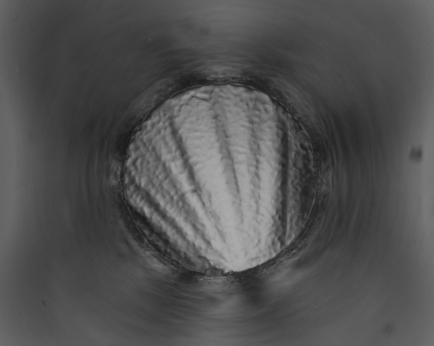 X0000089960281200707131544