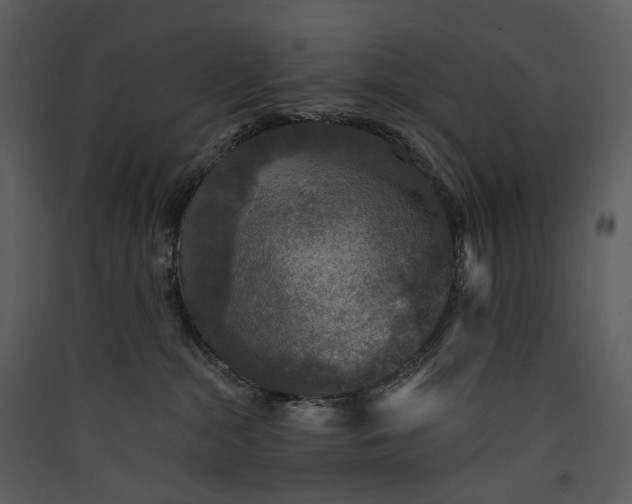 X0000089960284200707131544