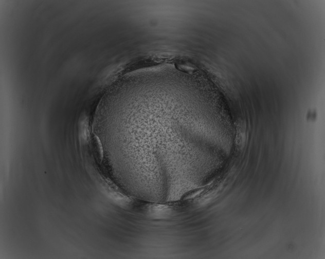 X0000089960287200707131544