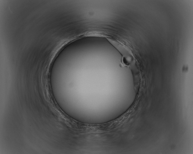 X0000089960289200707131543