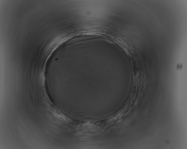 X0000089960290200707131543