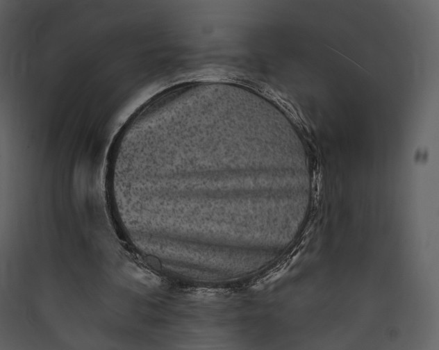 X0000089960292200707131543