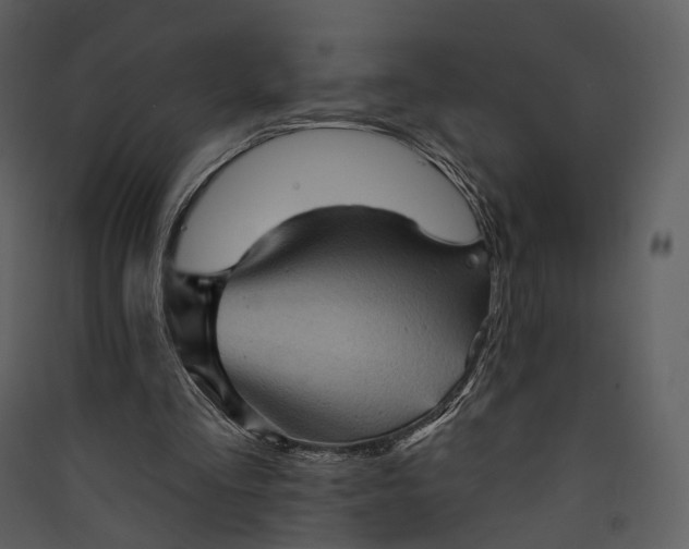 X0000089960293200707131543