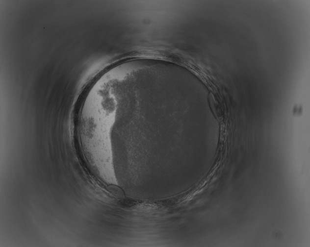 X0000089960294200707131543