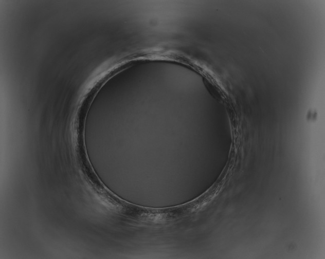X0000089960295200707131543