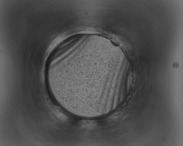 X0000089960296200707131543