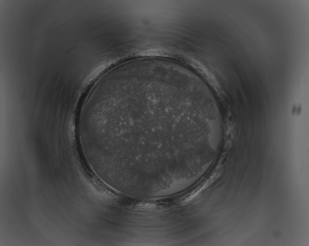 X0000089960298200707131543