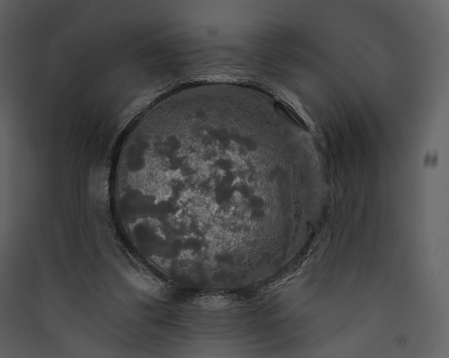 X0000089960299200707131543