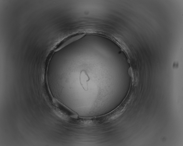 X0000089960301200707131543