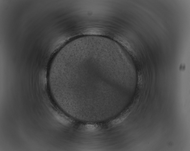X0000089960302200707131543