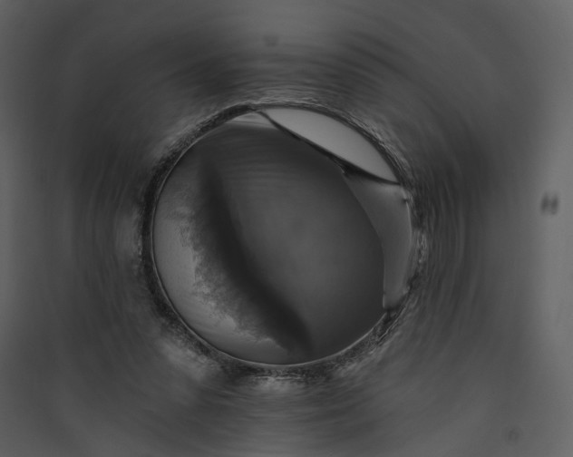 X0000089960303200707131543