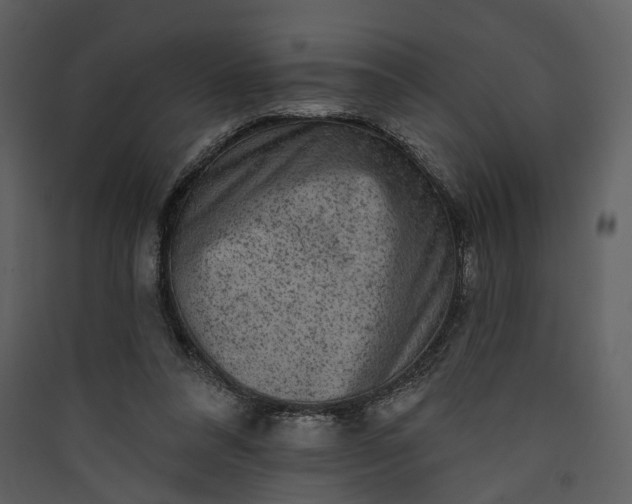 X0000089960304200707131543