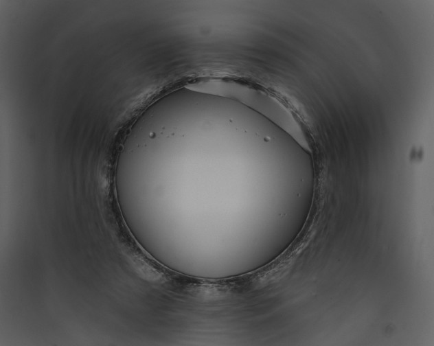 X0000089960305200707131543