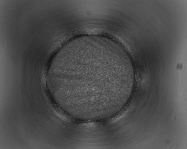 X0000089960307200707131543