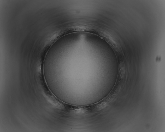 X0000089960310200707131543