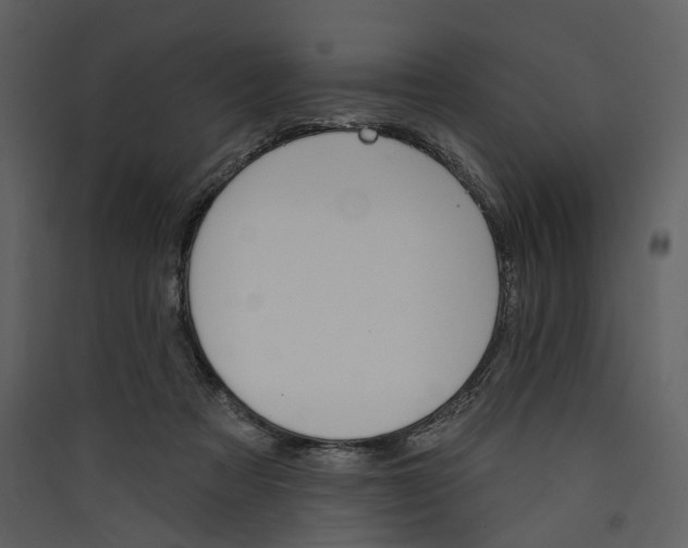 X0000089960313200707131543