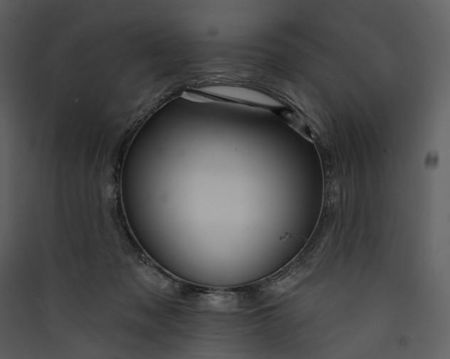X0000089960317200707131543