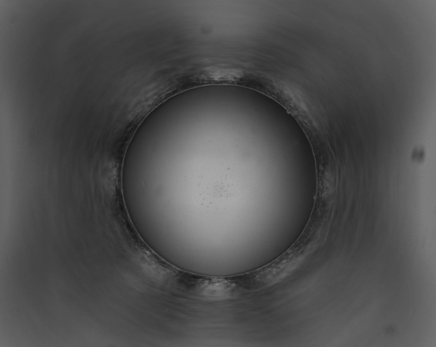 X0000089960321200707131543