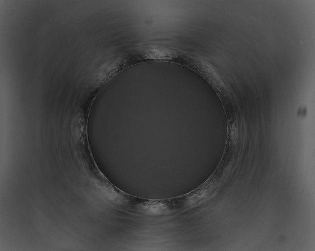 X0000089960322200707131543